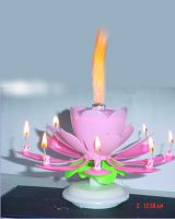 Cake Firework Candle