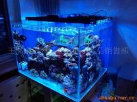 Blue Aquarium Light
