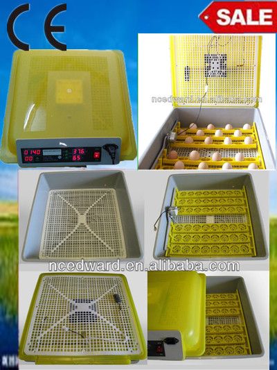  Multifuntional EW-48 Automatic Mini Quail Egg Incubator For Big Sale