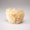 Grated cheese