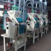 Maize Processing Line Maize Processing Line