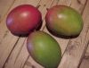 Kenyan Mangoes