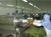 China sword-bean-head-trail-cutting-machine China sword-bean-head-...