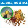 Get LC, SBLC, BG & BCL for Oil Seeds Importers & Exporters Get LC, SBLC, BG &...