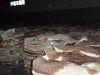 Wet And Dry Salted Cow Hide Wet And Dry Salted Cow...