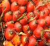 Palm Produce Palm Produce