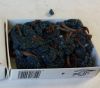 Live Fishing bait Live Fishing bait