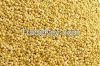 yellow millet yellow millet