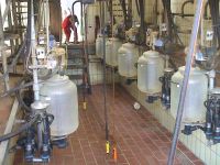 milk parlour shop near me