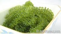 tempura seaweed