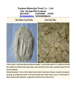 Dried Garlic Powder, Garlic Granule, Garlic Flake