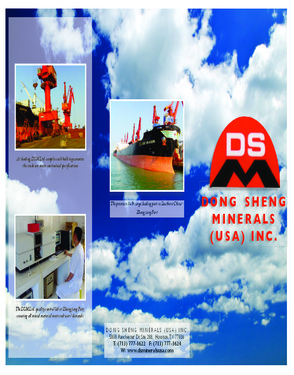 Dong Sheng Minerals USA Inc.