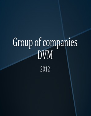 DVM Group