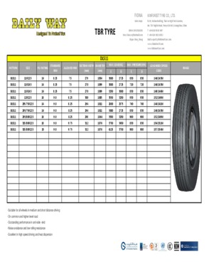 TBR TYRE - DL511