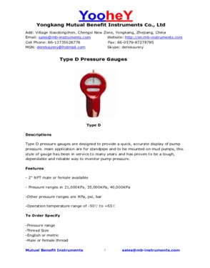 Type D Pressure Gauges