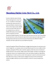Shandong Huijin Color Stell Co., Ltd