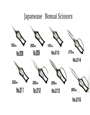 TTL Scissors
