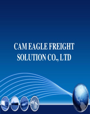 Cam Eagle Company