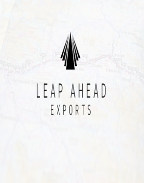 Leap Ahead Exports Private Limited
