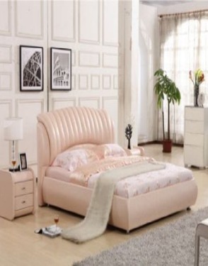 Genuine Leather Bed Lizz Furniture