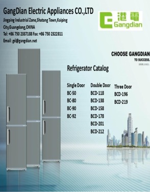 Gangdian Electrical Appliances Co., Ltd