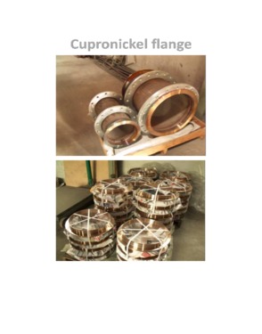 c70600 flange