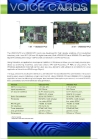 VB3030-PCI 1 E1 30 channels