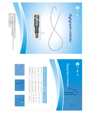 Angiographic Catheter