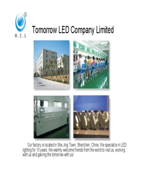 Tomorrow LED Company Limited