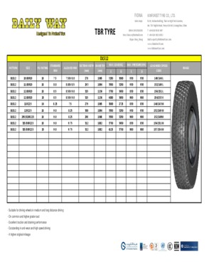 TBR TYRE - DL512