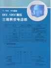 High Voltage Three Phase Induction Motor  