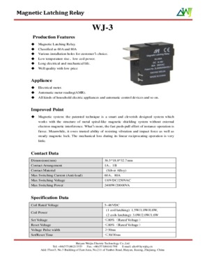 Magnetic Latching Relay 60A/80A