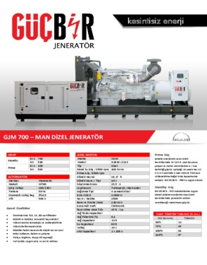 Gucbir Generators GJM700 - 700 kVA