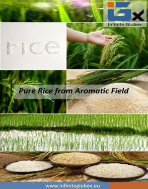 IRRI-6 Long Grain Parboiled (Sella) Rice