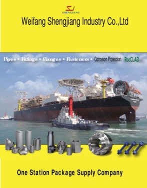 Weifang Shengjiang Industry Co., Ltd.