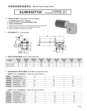 DC Worm Gear Motor