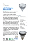 LED PAR Light