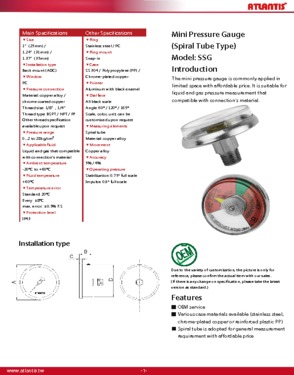 Mini Pressure Gauge (Spiral Tube Type)