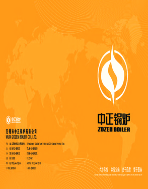 Zozen International Boiler CO