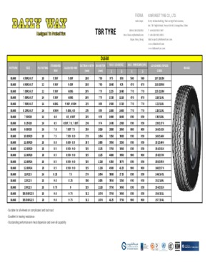 TBR TYRE - DL668