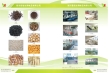 export dried shiitake mushrooms,dried brown and smooth mushrooms