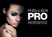 Mollon Ltd