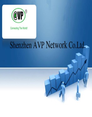Shenzhen AVP Network Co., Ltd.