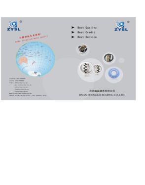 Jinan Shenglei Bearing Co., Ltd,