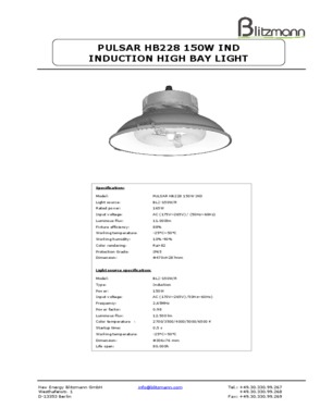 Blitzmann Pulsar High Bay Induction lamp