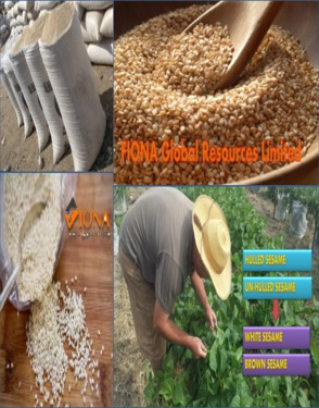 Sesame Seeds | Un-Hulled | White Creamy and Brown