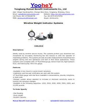 Wireline Weight Indicator Gauge System