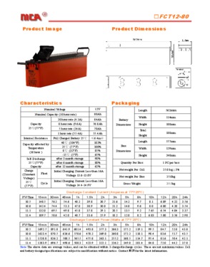 FCT series(Front Terminal AGM batteries)