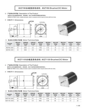 Brushed DC Motor