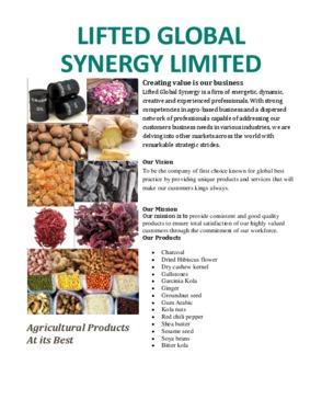 Lifted Global Synergy Limited
